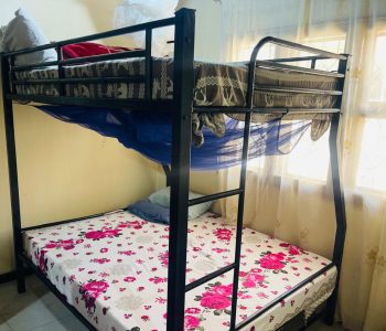 a0fc2097-d377-4aa9-a522-f6b16609ac55